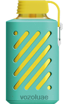 VOZOL GEAR- 10000 D8LBT298 VOAOL vape flavours ميامي النعناع