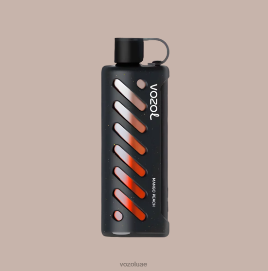 Vozol UAE - VOZOL جير الشيشة 25000 D264T1