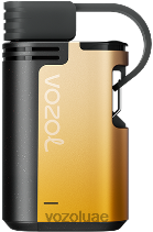 VOZOL GEAR- 4000ج/6000 D8LBT327 VOAOL سعر فاكهة المانجو