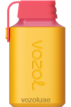 VOZOL GEAR- 600 D8LBT351 VOAOL UAE كيوي باشن فروت جوافة