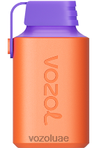 VOZOL GEAR- 600 D8LBT353 VOAOL فيب ليتشي جوافة بطيخ