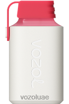 VOZOL GEAR- 600 D8LBT357 VOAOL سعر ايس كريم فراولة
