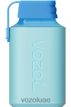 VOZOL GEAR- 600 D8LBT361 VOAOL UAE جليد التوت