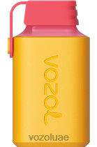VOZOL GEAR- 600 D8LBT363 VOAOL فيب ليمون حامض