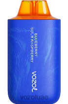 VOZOL STAR- 6000/8000 الإصدار 2 D8LBT56 VOAOL vape abu dhabi التوت الحامض