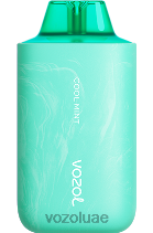 VOZOL STAR- 6000/8000 الإصدار 2 D8LBT57 VOAOL سعر نعناع منعش