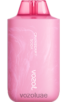 VOZOL STAR- 6000/8000 الإصدار 2 D8LBT58 VOAOL vape flavours صودا التوت البري