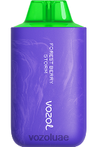 VOZOL STAR- 6000/8000 الإصدار 2 D8LBT59 VOAOL vape review عاصفة التوت الغابات