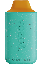 VOZOL STAR- 6000 D8LBT102 VOAOL vape UAE بوميلو الارز