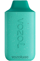 VOZOL STAR- 6000 D8LBT110 VOAOL vape for sale نعناع منعش