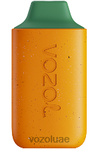 VOZOL STAR- 6000 D8LBT115 VOAOL vape price فاكهة الكيوي والجوافة