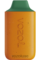 VOZOL STAR- 6000 D8LBT120 VOAOL vape for sale مانجو خوخ بطيخ