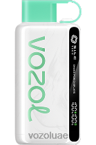 VOZOL STAR- 9000/12000 D8LBT23 VOAOL فيب نعناع منعش