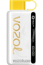 VOZOL STAR- 9000/12000 D8LBT25 VOAOL vape price كيوي باشن فروت جوافة