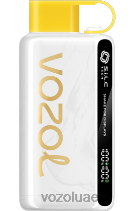 VOZOL STAR- 9000/12000 D8LBT46 VOAOL vape abu dhabi الأناناس وجوز الهند الجليد
