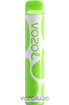 VOZOL JOYGO- 600 D8LBT382 VOAOL vape UAE كيوي باشن فروت جوافة