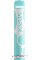 VOZOL JOYGO- 600 D8LBT391 VOAOL UAE حلوى قوس قزح