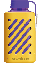 VOZOL GEAR- 10000 D8LBT299 VOAOL vape review التوت المختلطة