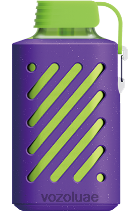 VOZOL GEAR- 10000 D8LBT315 VOAOL vape price جليد التوت