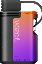 VOZOL GEAR- 4000ج/6000 D8LBT324 VOAOL vape سعر عاصفة التوت الغابات