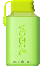 VOZOL GEAR- 600 D8LBT345 VOAOL vape price التفاح والخوخ