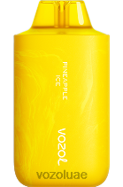 VOZOL STAR- 6000/8000 الإصدار 2 D8LBT64 VOAOL vape سعر ثلج الأناناس